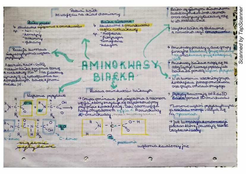 NACZENIE
BIOLOGICKNE
BIARSK
GLOBULINY
↳biaika prote
↳
4 m.in. praeciwciała wytępy are wocacau
•przeciuciano biorą lichiar i procesa.ch
odpom