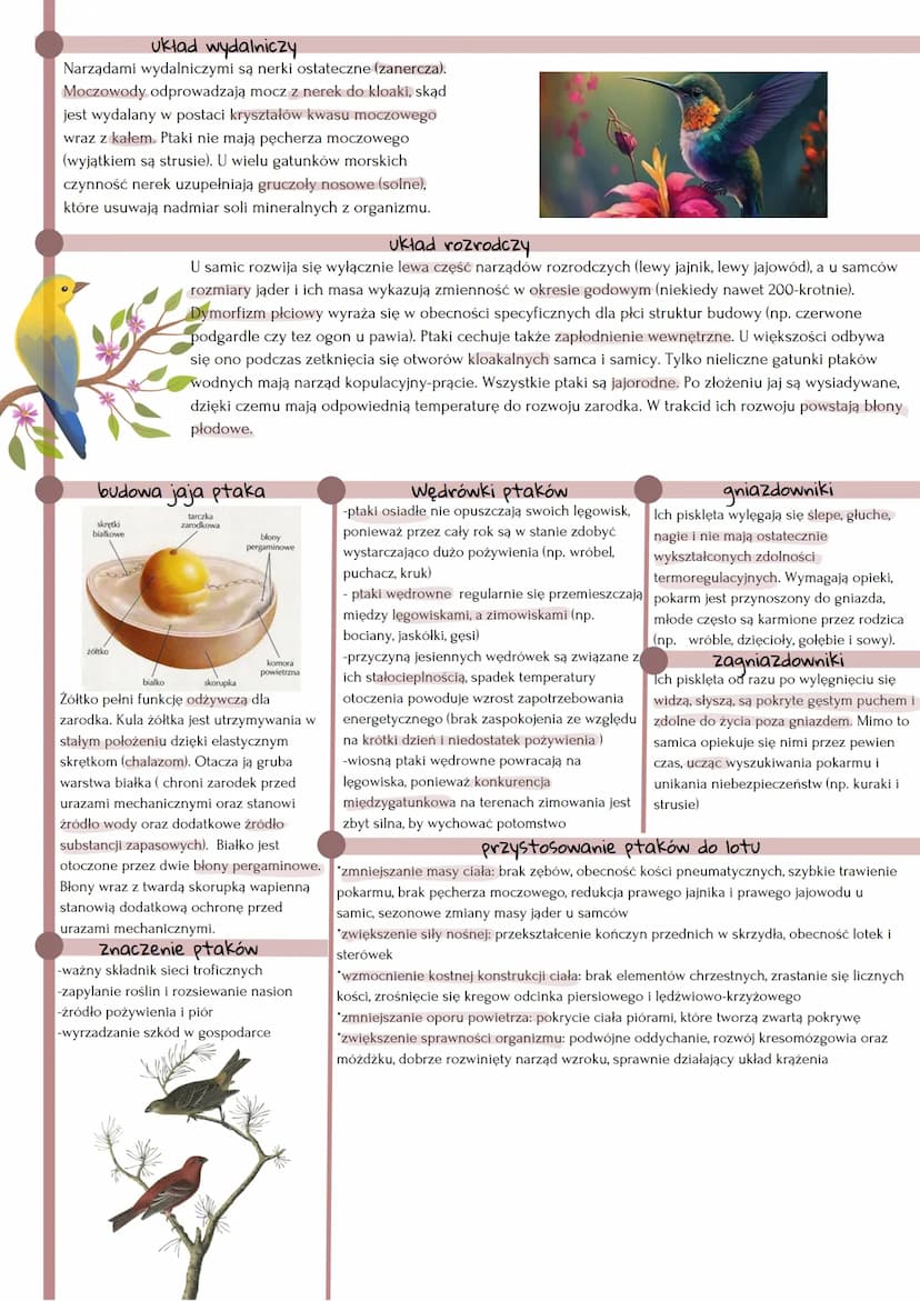 *żuchwowce i owodniowce
*zwierzęta pierwotnie lądowe
*stałocieplne
*większość przystosowana do aktywnego lotu
'pióra-wytwory naskórka
*jajor