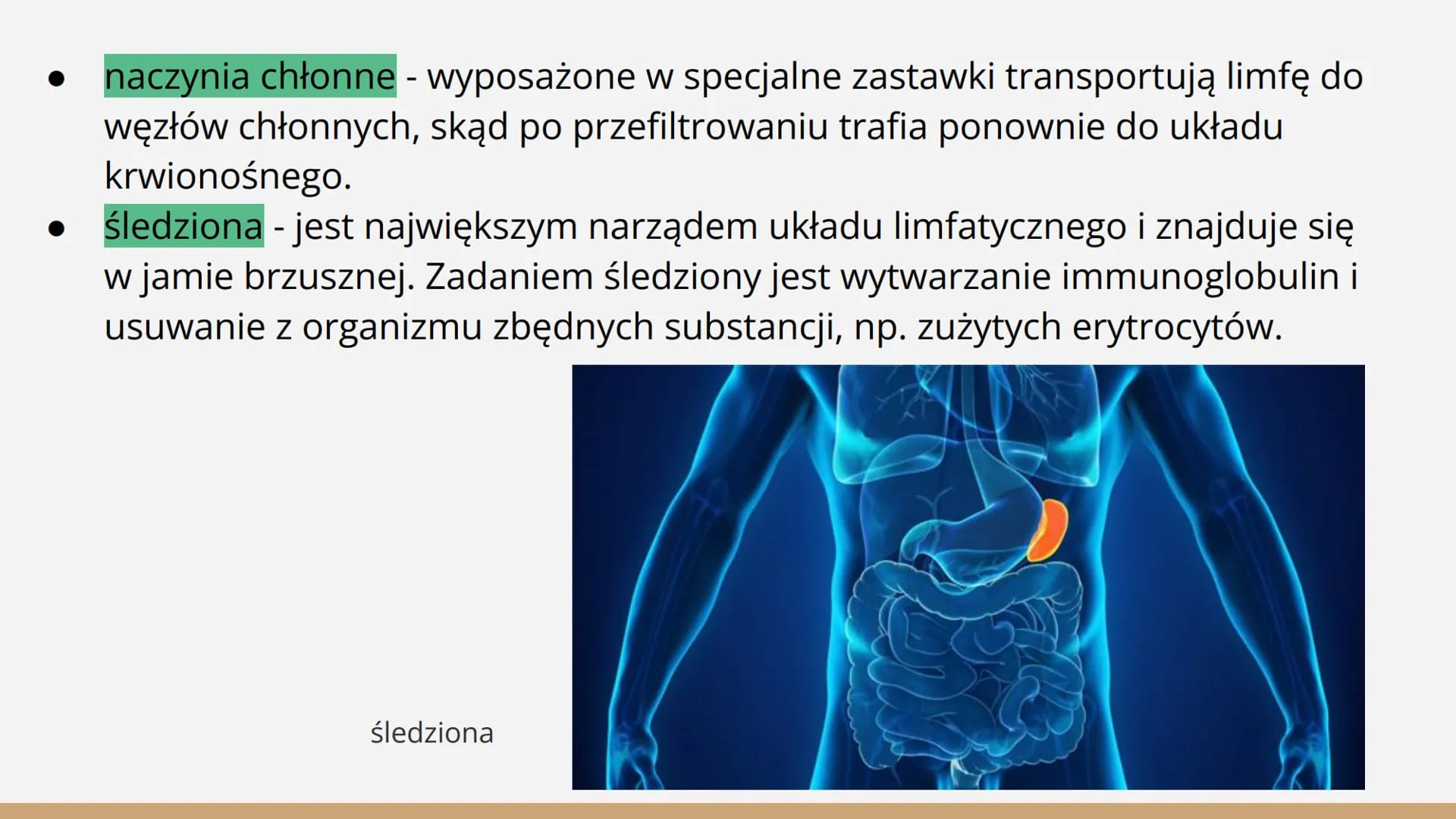 Układ
limfatyczny Budowa Migdałek
podniebienr
Grasica
Śledzior
Węzeł
chłonr
Naczynie
chłonne
Grasica
Węzły chłonne
pachowe
Przewód
piersiowy