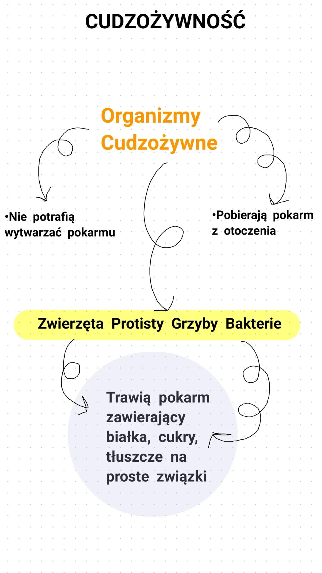 Cudzożywność: Co To Jest w Biologii?