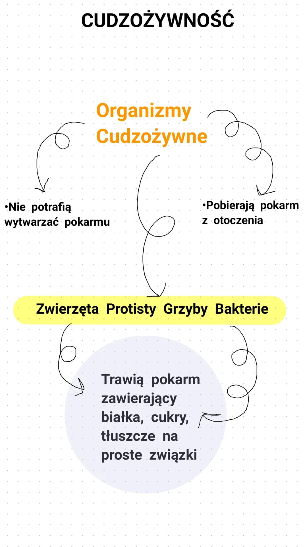 CUDZOŻYWNOŚĆ
Organizmy
6 Cudzożywne
•Nie potrafią
wytwarzać pokarmu
•Pobierają pokarm
z otoczenia
Zwierzęta Protisty Grzyby Bakterie
2
Trawi