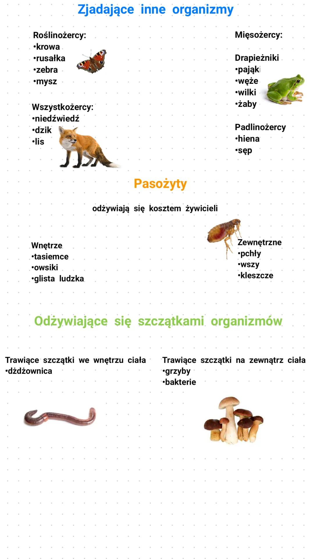 CUDZOŻYWNOŚĆ
Organizmy
6 Cudzożywne
•Nie potrafią
wytwarzać pokarmu
•Pobierają pokarm
z otoczenia
Zwierzęta Protisty Grzyby Bakterie
2
Trawi