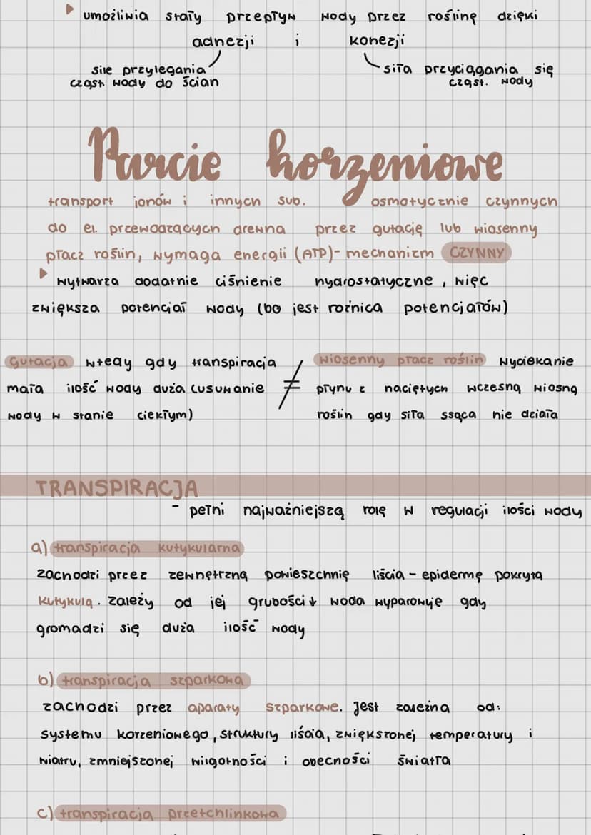 Gospodarka wodna
roślin
rozpuszczalnik nydrofili
Hoda utrzymanie turgoru kom.
Nerost
transport Sub.
TRANSPORT WODY
czynny (parcie korzenia);