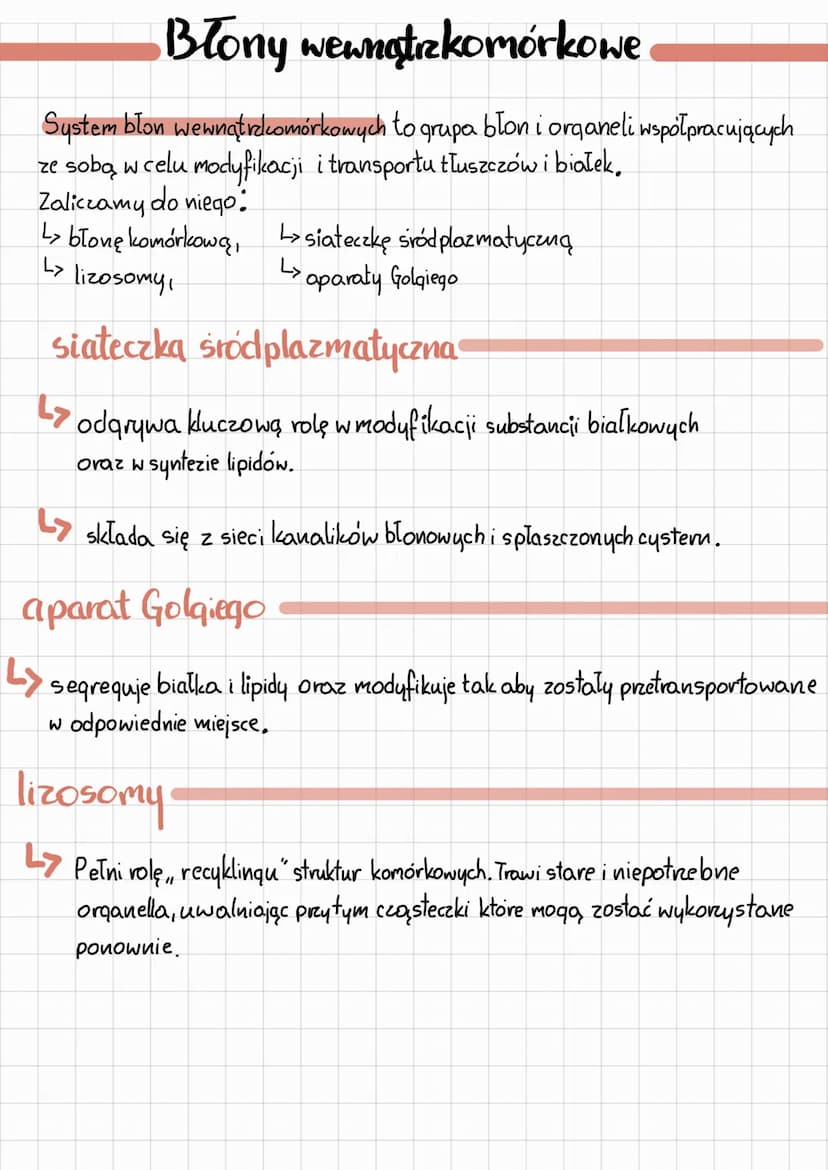 blony biologivene"
CECHY BUDOWY
Jest elastyczna~komórka może zmieniać kretalt i możliwy jest jej
Wstrukture obecne są białka- receptory ~moż