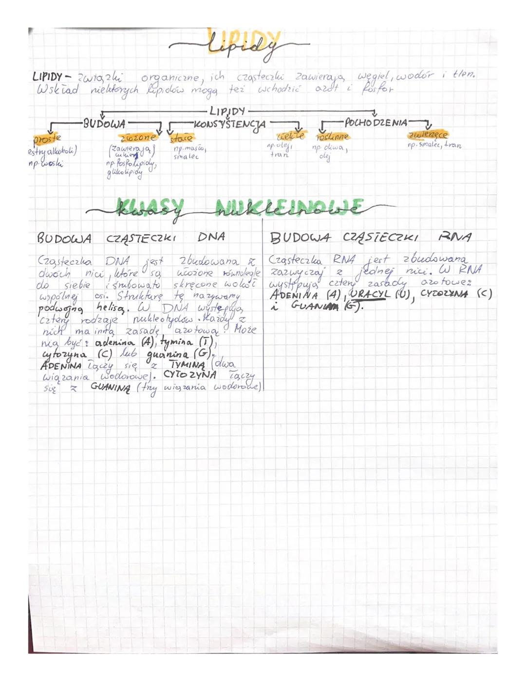 makro
PIERWIASTKI CHEMICZNE - podstawowy składnik chemiczny każdego organizmu.
PIERWIASTKI CHEMICZNE
JONY
węglowodany
•ZWIĄZKI ORGANICZNE-
b