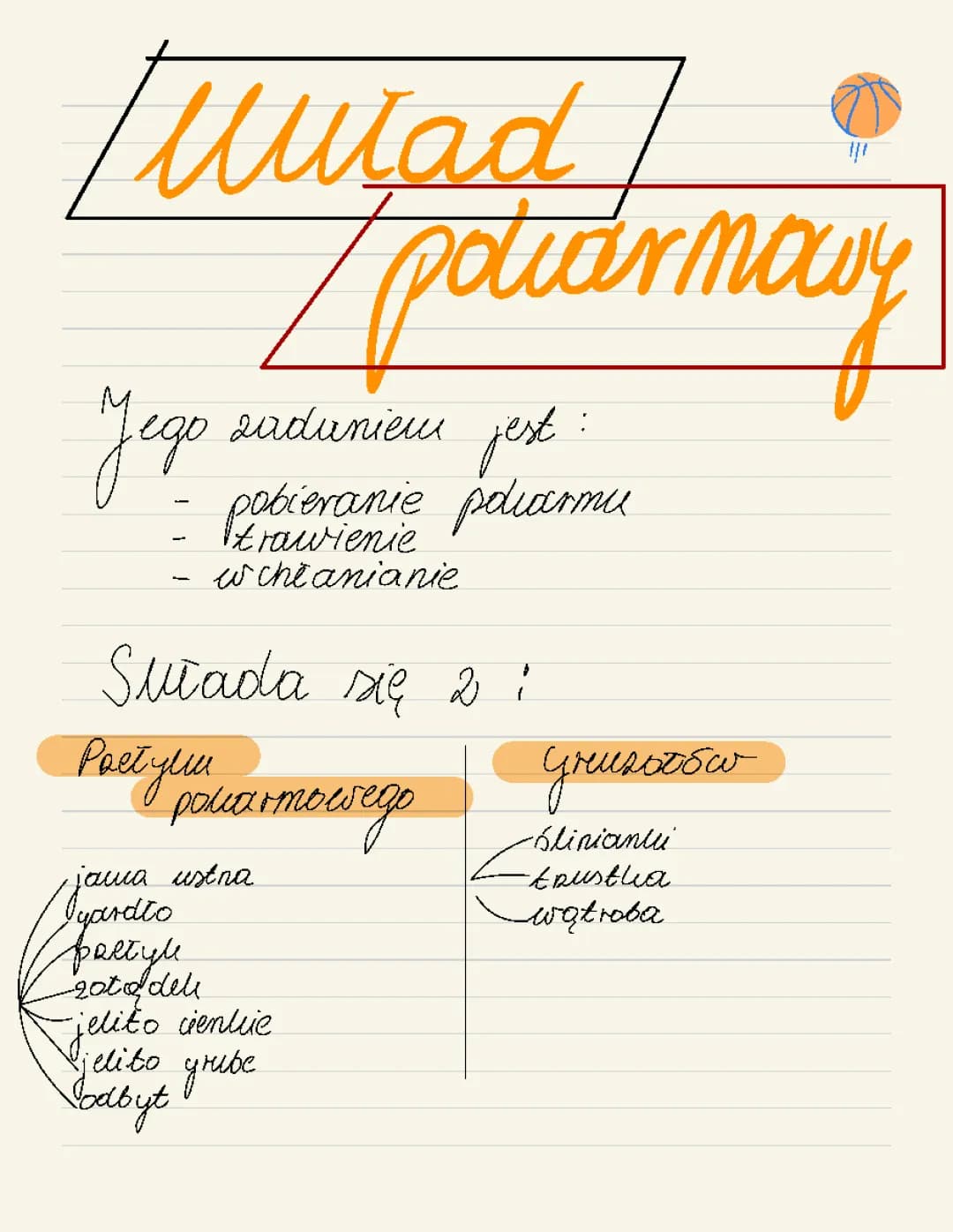 Układ pokarmowy człowieka
