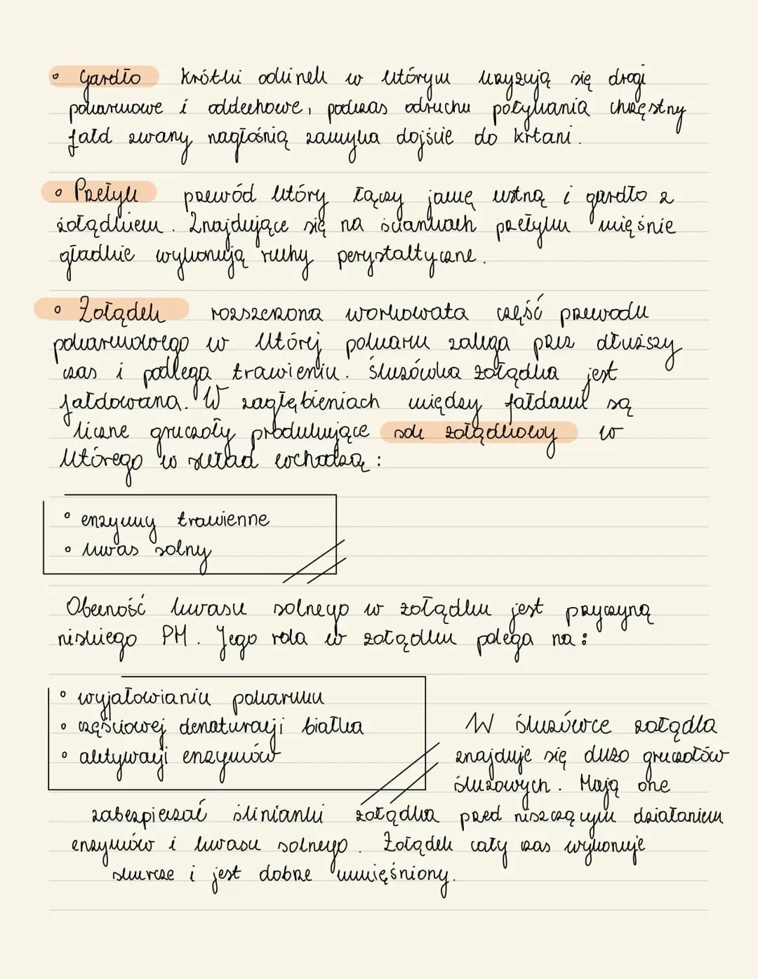 [uutaḍ]
Mpatidrmany
me
zadaniem
jest
pobieranie poliarmu
wchłanianie
Jego
-
Sułada się 2 :
Растуши
Watum moerig
рс
јашан
yardło
partyle
-20t