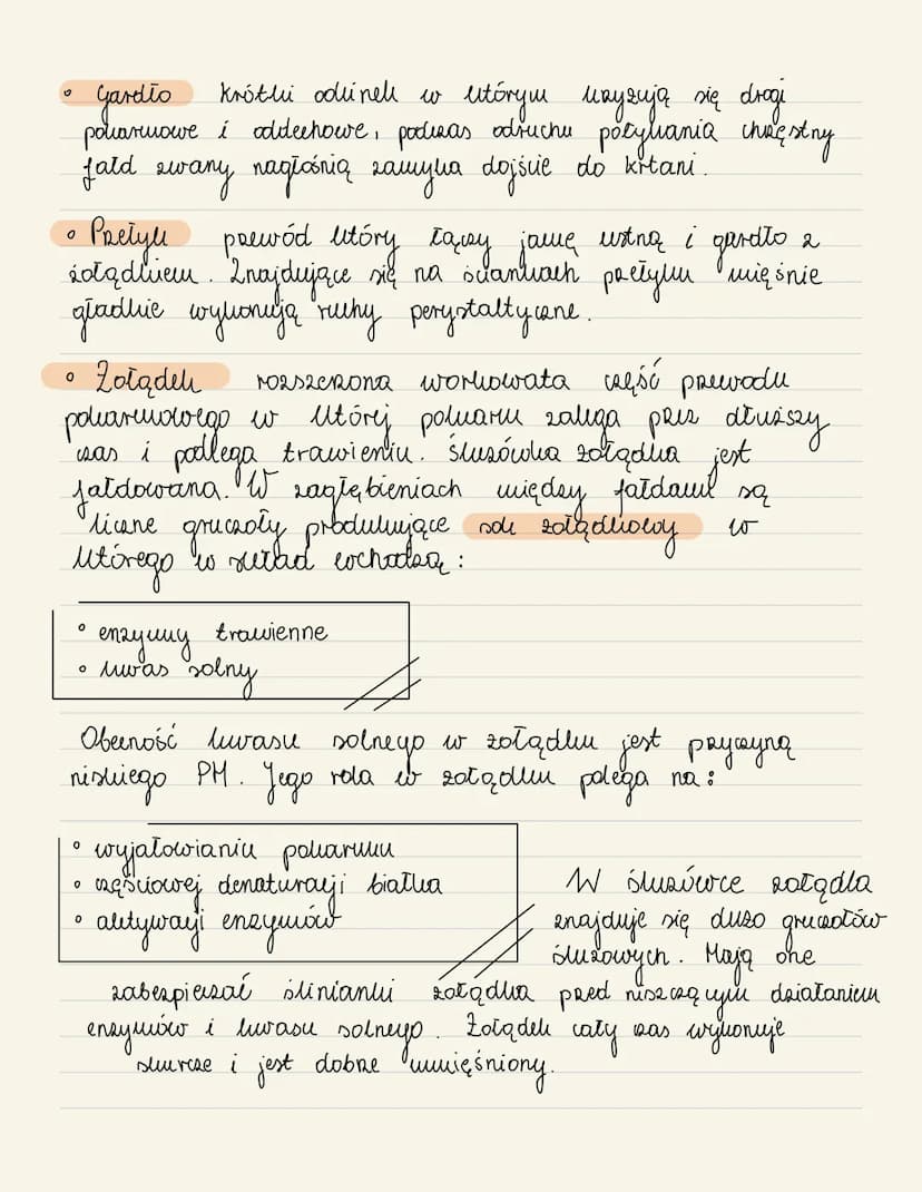 [uutaḍ]
Mpatidrmany
me
zadaniem
jest
pobieranie poliarmu
wchłanianie
Jego
-
Sułada się 2 :
Растуши
Watum moerig
рс
јашан
yardło
partyle
-20t