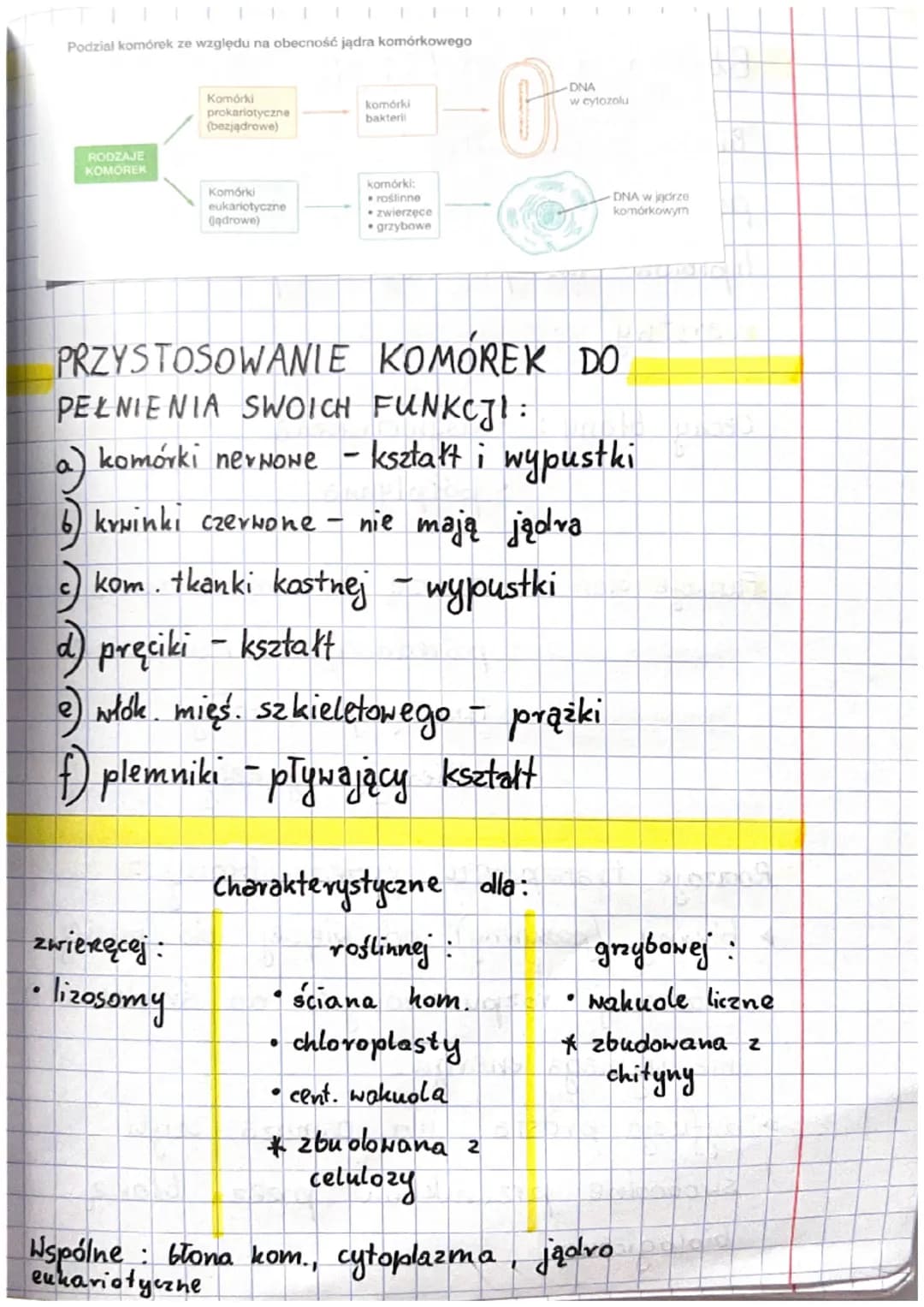 Podsumowanie
JĄDROWE
• zwierzęce
roślinne
grzybowe
●
CECH A
liczba komórek
potomnych
PODZIAŁ KOMÓREK
MITOZA
2
Ip. chromosomów taka sama
is k