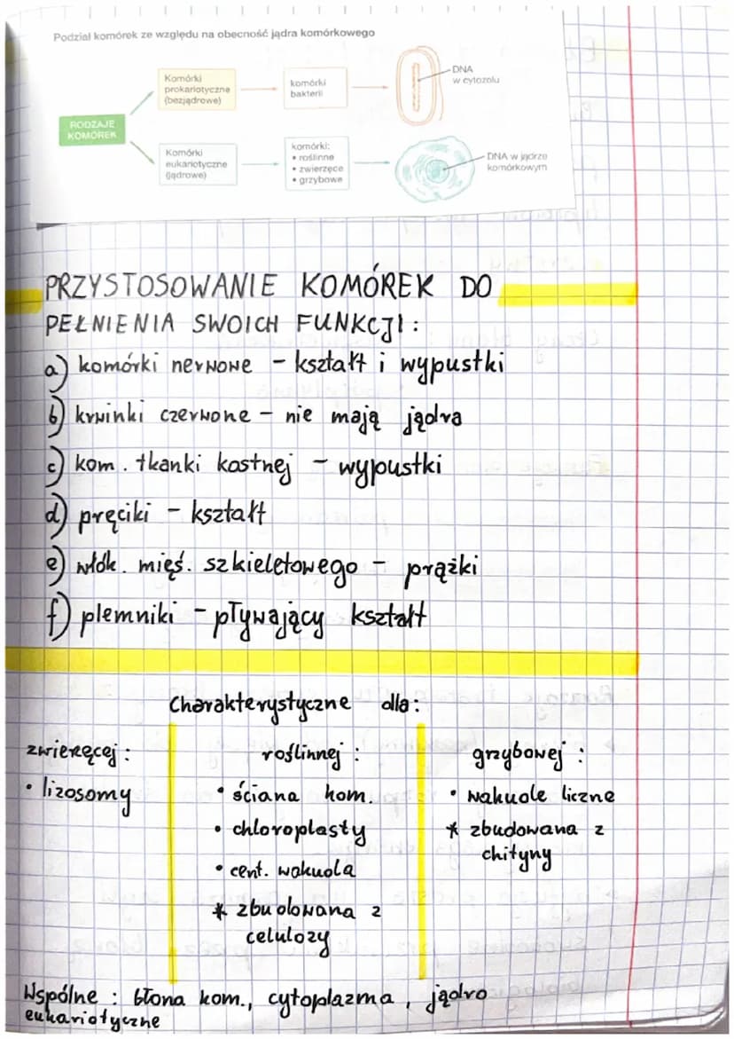 Podsumowanie
JĄDROWE
• zwierzęce
roślinne
grzybowe
●
CECH A
liczba komórek
potomnych
PODZIAŁ KOMÓREK
MITOZA
2
Ip. chromosomów taka sama
is k