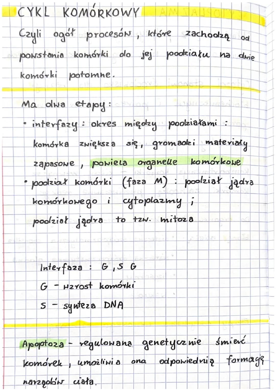 Podsumowanie
JĄDROWE
• zwierzęce
roślinne
grzybowe
●
CECH A
liczba komórek
potomnych
PODZIAŁ KOMÓREK
MITOZA
2
Ip. chromosomów taka sama
is k