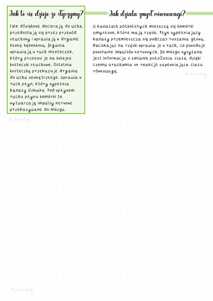 Uche narzad Fiche trianswags
@_karcia.study.
Narząd sluchu i równowagi
Zmyst stuchu pomaga nam określić rodzaj dźwięku i kierunek, z którego