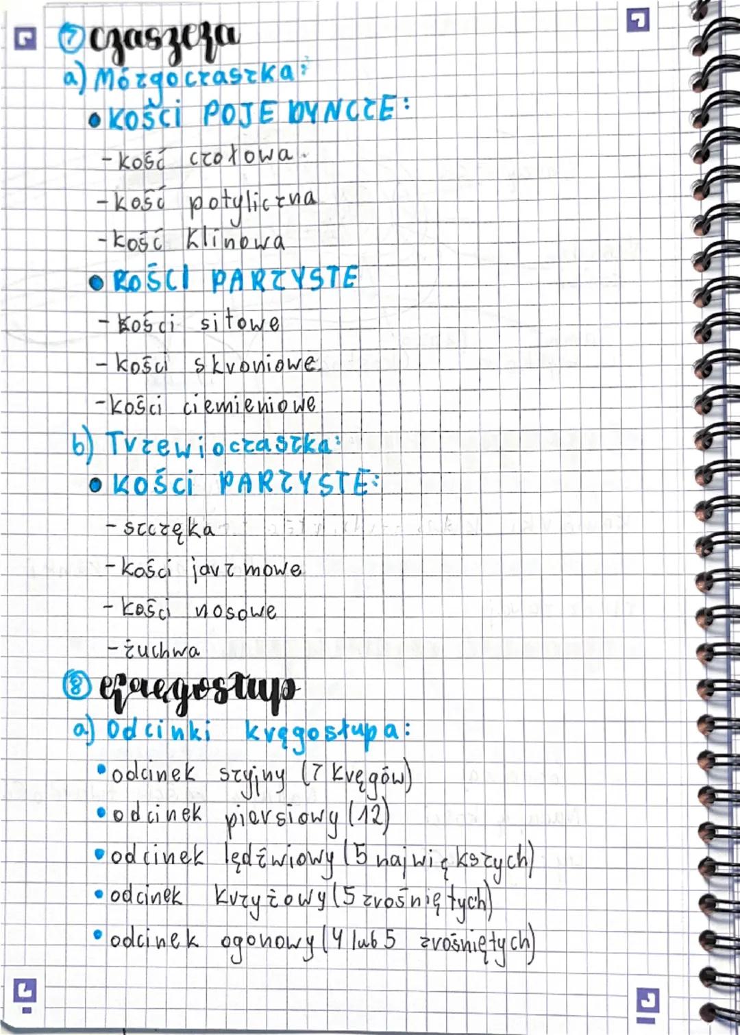 # Biologia Marat

euchu

# Aparat Quchu

Częśc

(zęśί

счуппа

bievna

układ

mięśniowy

Układ

szkieletowy

5tkielet

mięśnie

osiolys

Szk