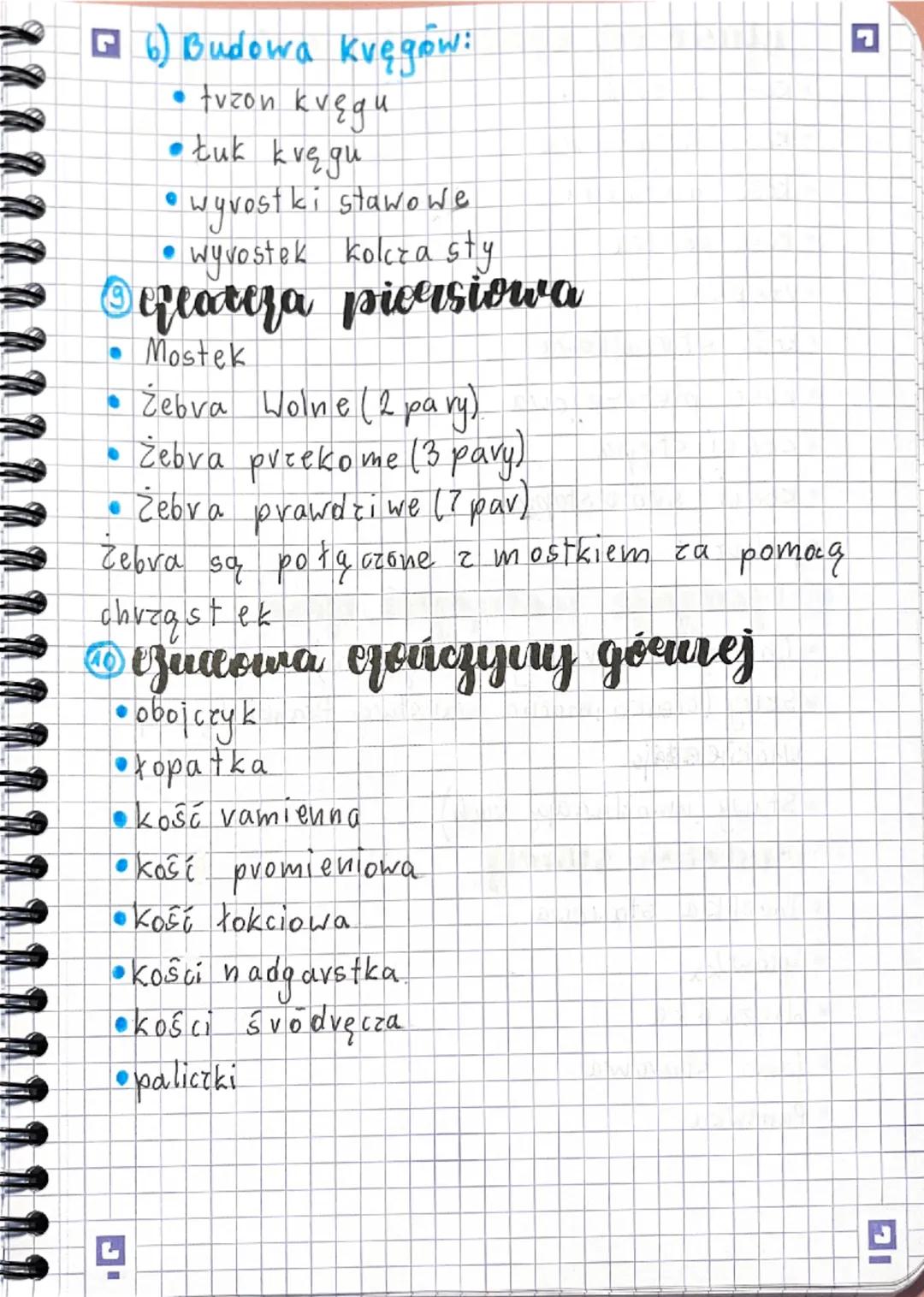 # Biologia Marat

euchu

# Aparat Quchu

Częśc

(zęśί

счуппа

bievna

układ

mięśniowy

Układ

szkieletowy

5tkielet

mięśnie

osiolys

Szk