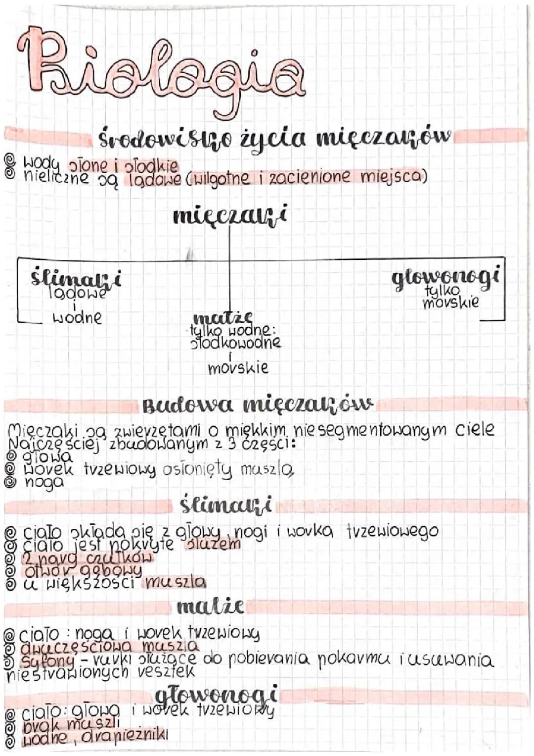 Mięczaki