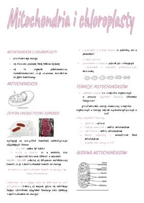 Know Mitochondria i chloroplasty thumbnail