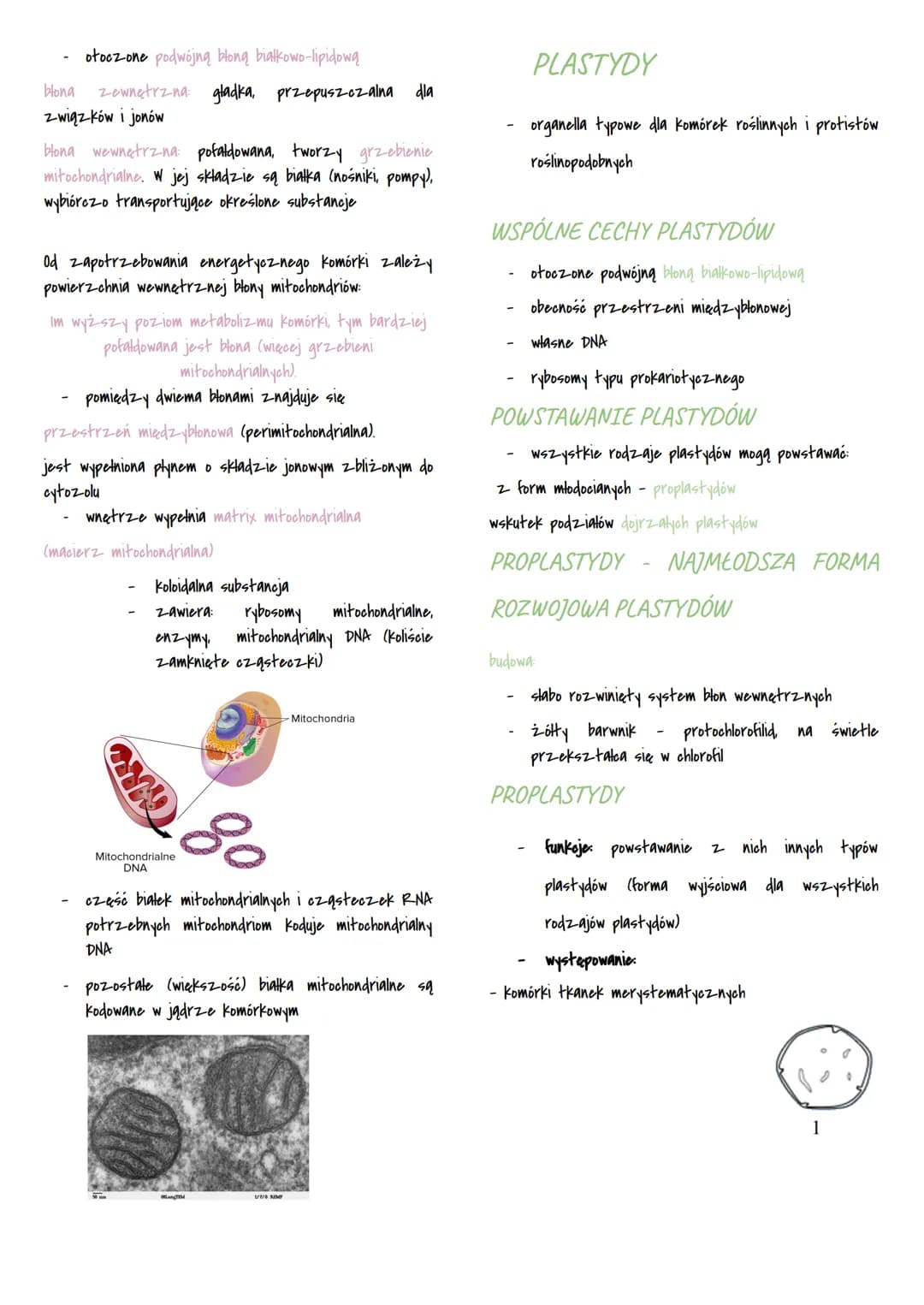 Mitochondria i chloroplasty
MITOCHONDRIA I CHLOROPLASTY
przetwarzają energie
są otoczone podwójną błoną białkowo-lipidową
sq
to
organelle pó