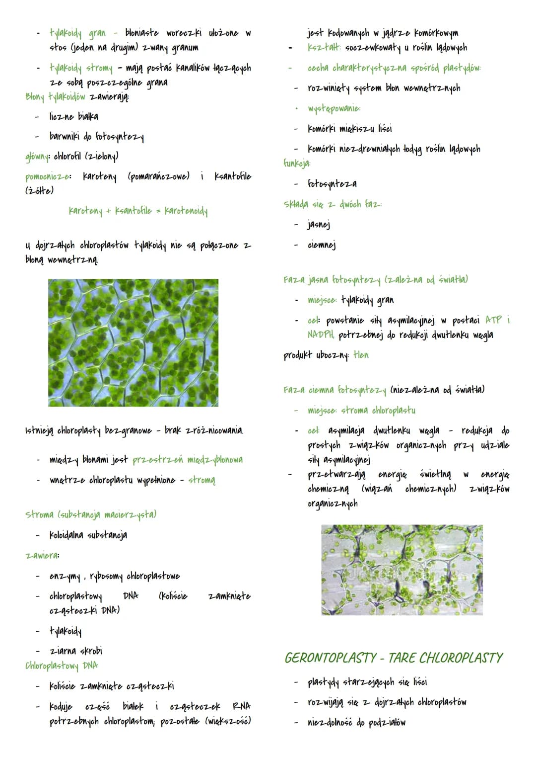 Mitochondria i chloroplasty
MITOCHONDRIA I CHLOROPLASTY
przetwarzają energie
są otoczone podwójną błoną białkowo-lipidową
sq
to
organelle pó