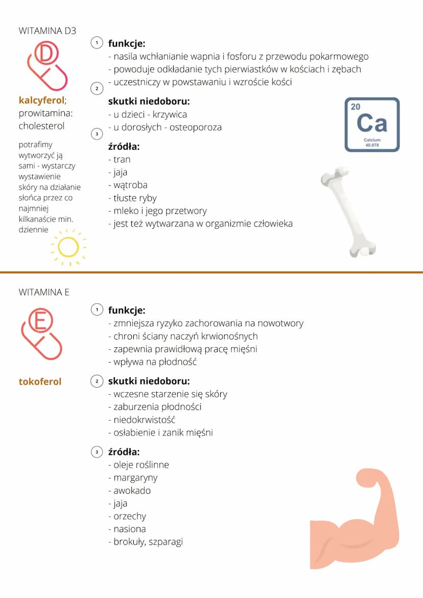 
<h2 id="witaminyisolemineralne-1">Witaminy i sole mineralne:</h2>
<ul>
<li>To są składniki pokarmowe, które są niezbędne do prawidłowego fu