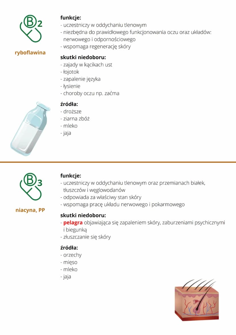 
<h2 id="witaminyisolemineralne-1">Witaminy i sole mineralne:</h2>
<ul>
<li>To są składniki pokarmowe, które są niezbędne do prawidłowego fu
