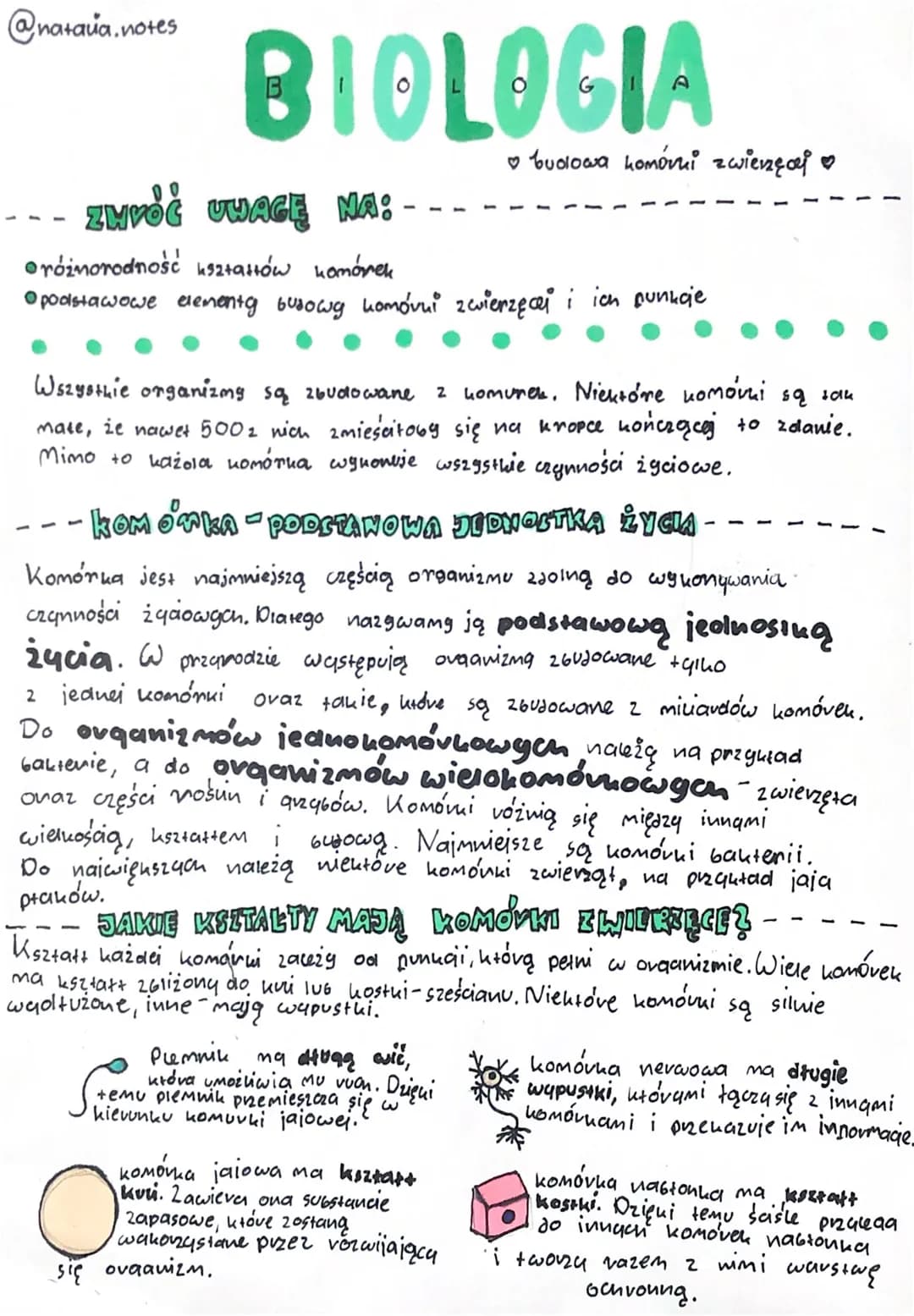 @natava.notes
BIOLOGIA
ZWYÓĆ UWAGĘ NA:
-
oróżnorodność ksztattów komórek
• podstawowe elementy busowy komóvni zwierzęci i ich punkcie
Wszyst