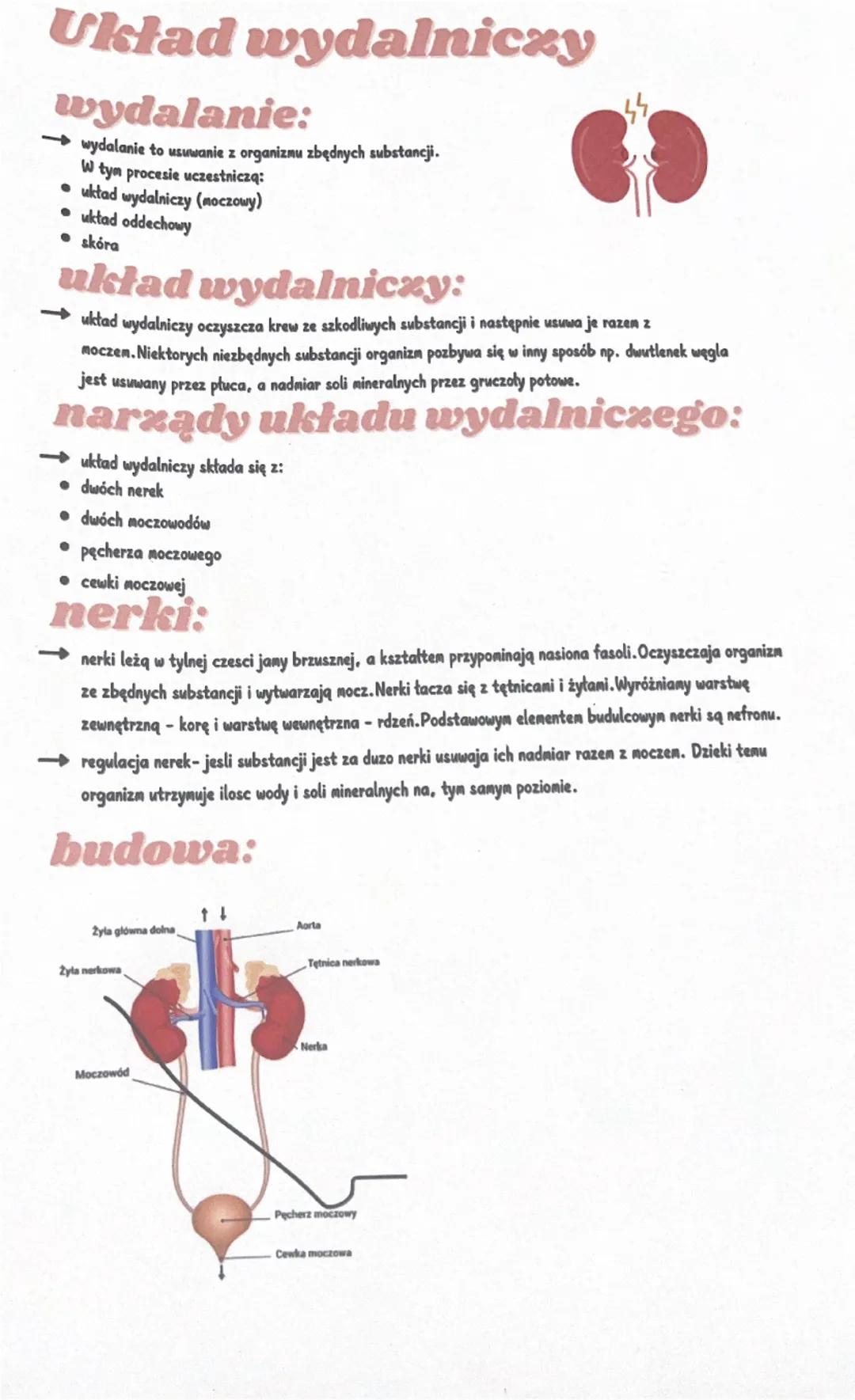 --- OCR Start ---
Układ wydalniczy
wydalanie:
→wydalanie to usuwanie z organizmu zbędnych substancji.
W tym procesie uczestniczą:
układ wyda