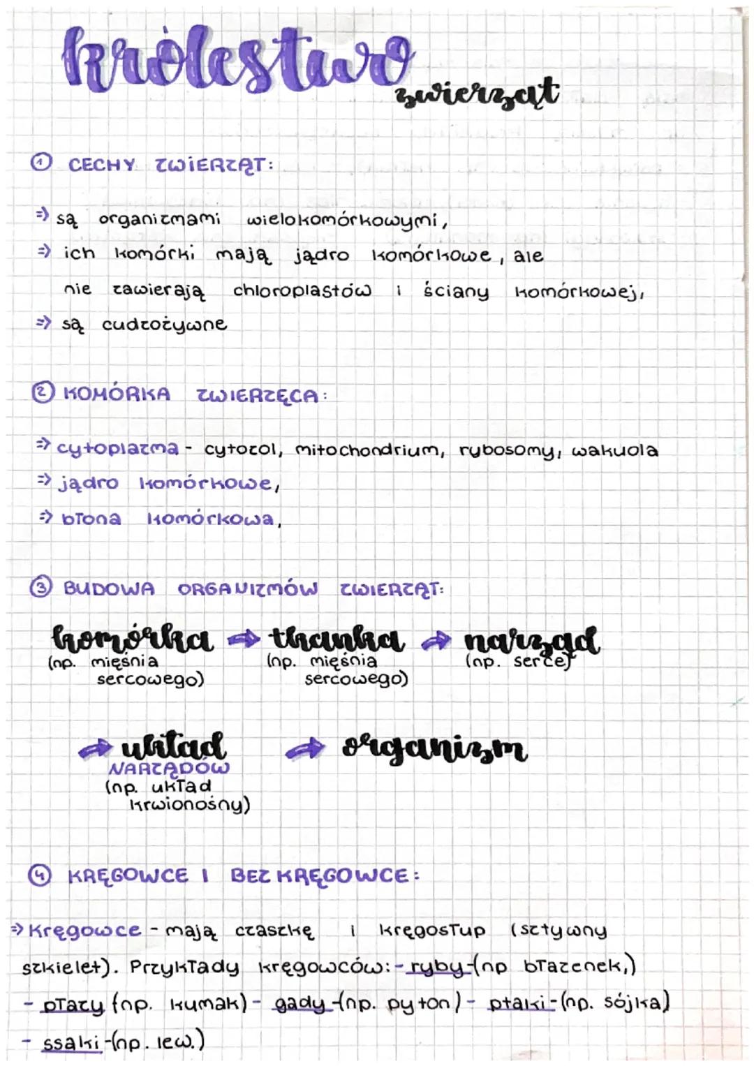 # Królesture zwierząt

CECHY ZWIERZĄT:

= są organizmami wielokomórkowymi,
ich komórki mają jądro komórkowe, ale
nie zawierają chloroplastów