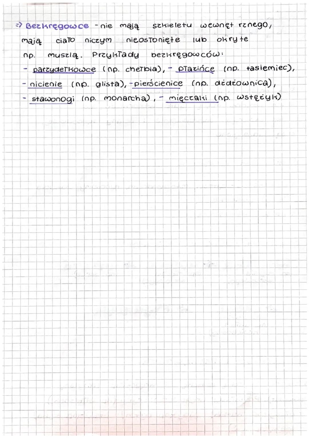 # Królesture zwierząt

CECHY ZWIERZĄT:

= są organizmami wielokomórkowymi,
ich komórki mają jądro komórkowe, ale
nie zawierają chloroplastów