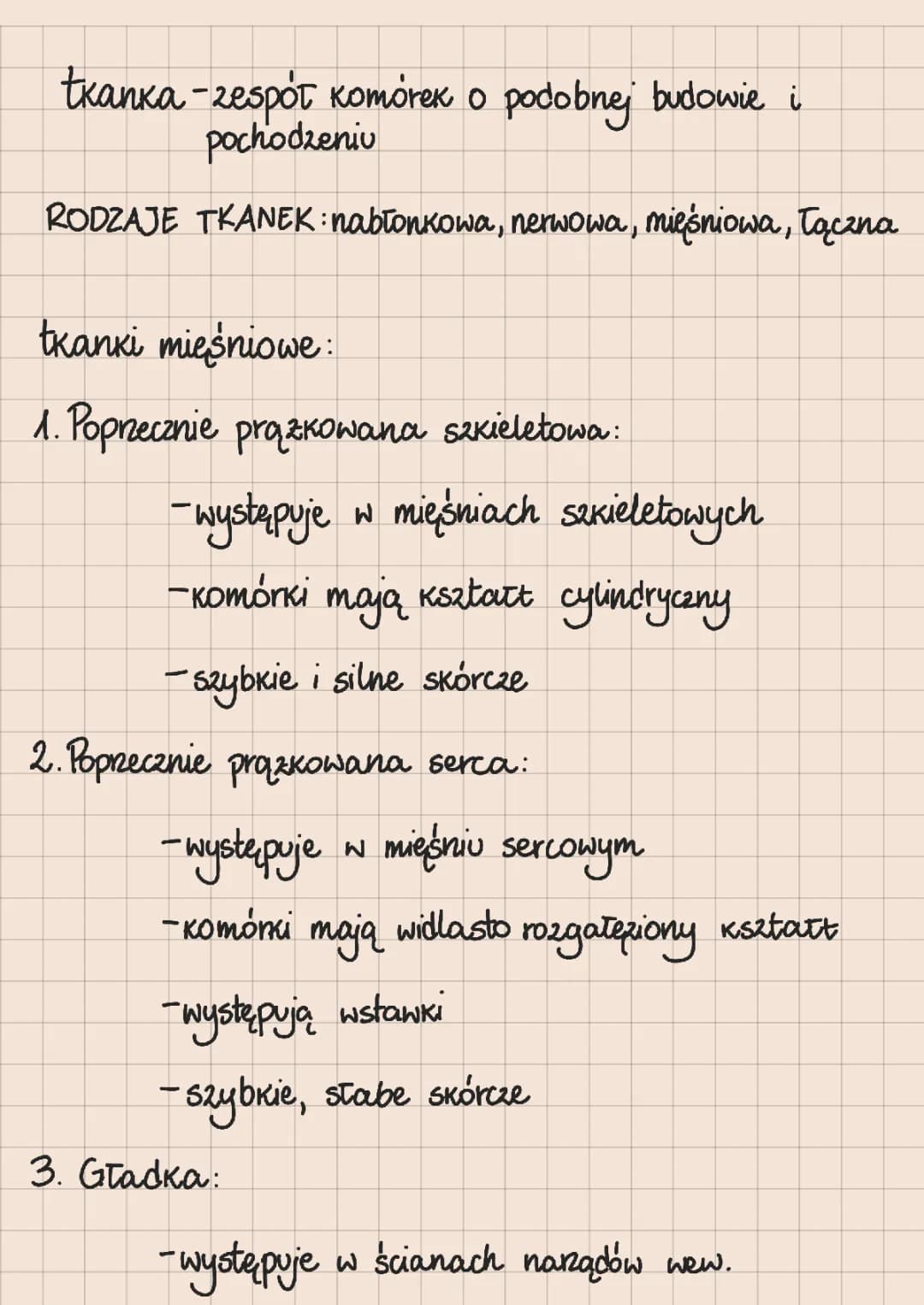 Różnorodność bezkręgowców 