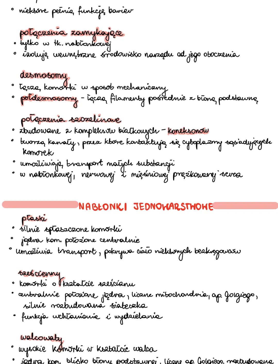 Tkanki zwierzęce - notatki i przewodnik do Biologii PDF