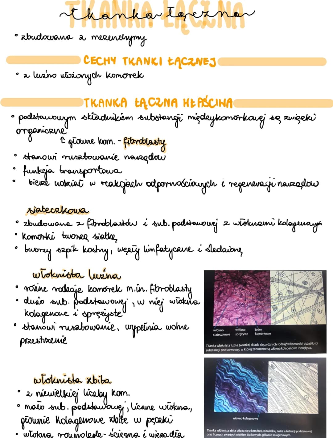 Tkanki zwierzęce - notatki i przewodnik do Biologii PDF