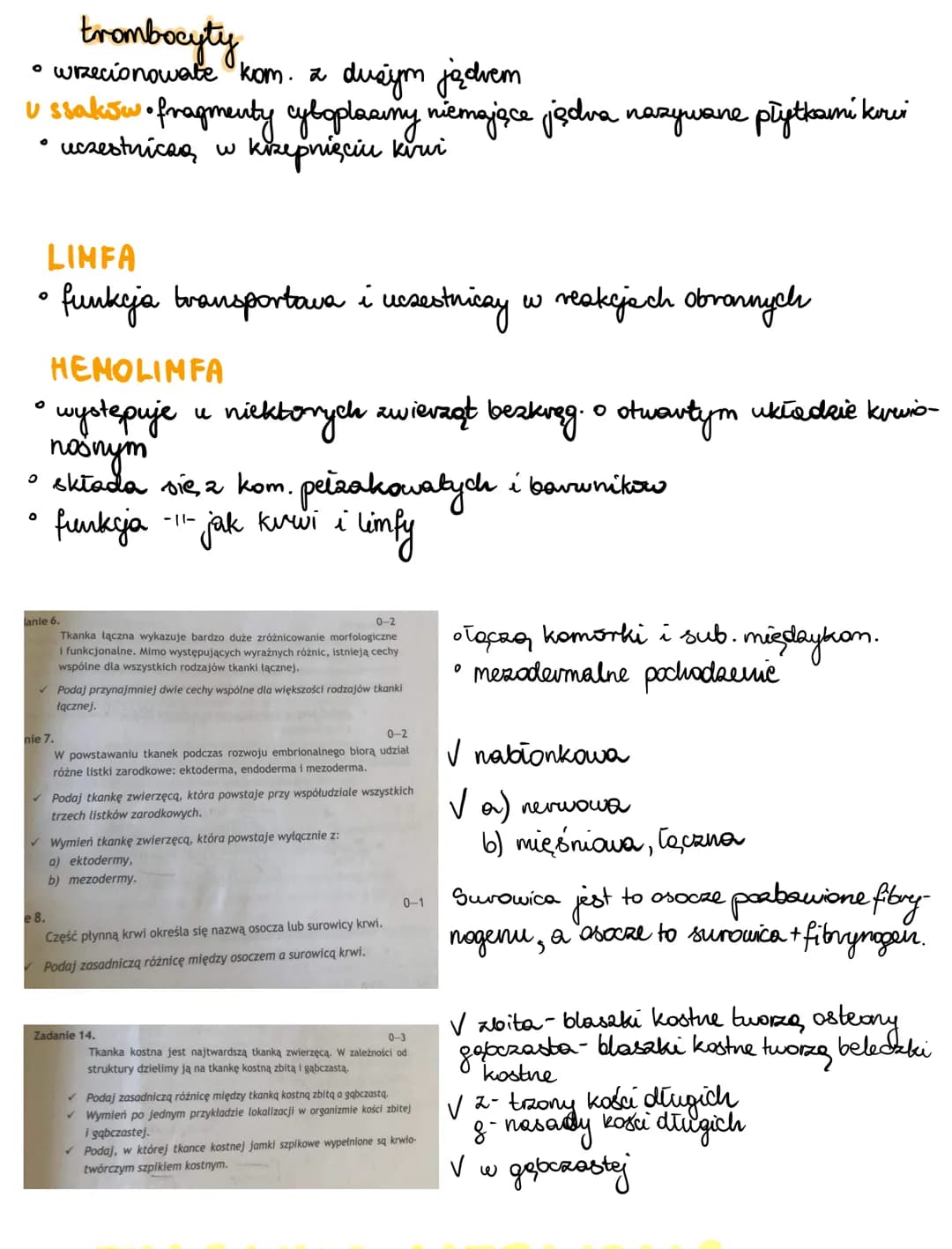 Tkanki zwierzęce - notatki i przewodnik do Biologii PDF