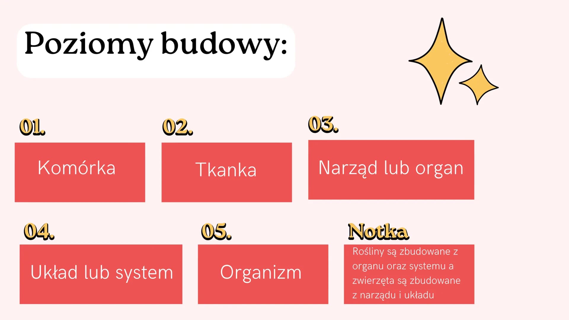 Puls Życia 5 - 1 dział
Biologia Nowa Era
Meow! Czynności życiowe
01 - Odżywianie się
02 - Oddychanie
03 - Wydalanie
04 - Ruch
05 - Wzrost i 