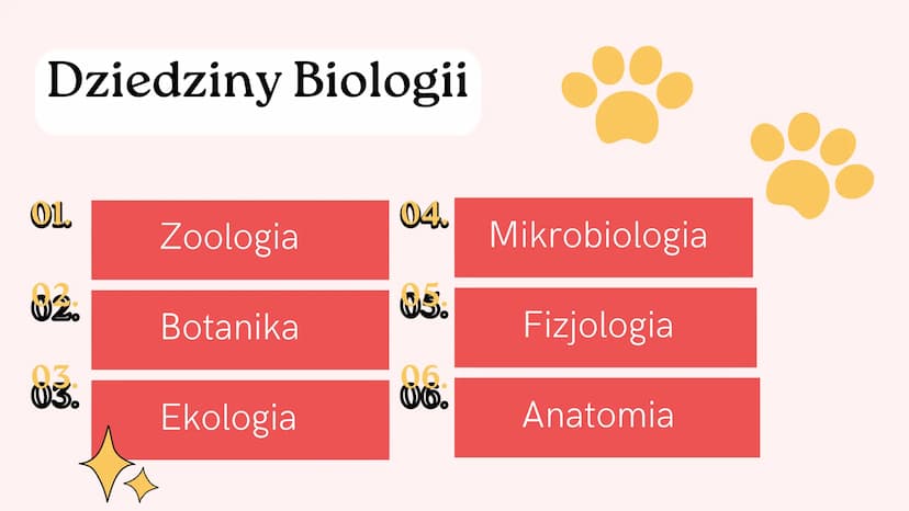 Puls Życia 5 - 1 dział
Biologia Nowa Era
Meow! Czynności życiowe
01 - Odżywianie się
02 - Oddychanie
03 - Wydalanie
04 - Ruch
05 - Wzrost i 
