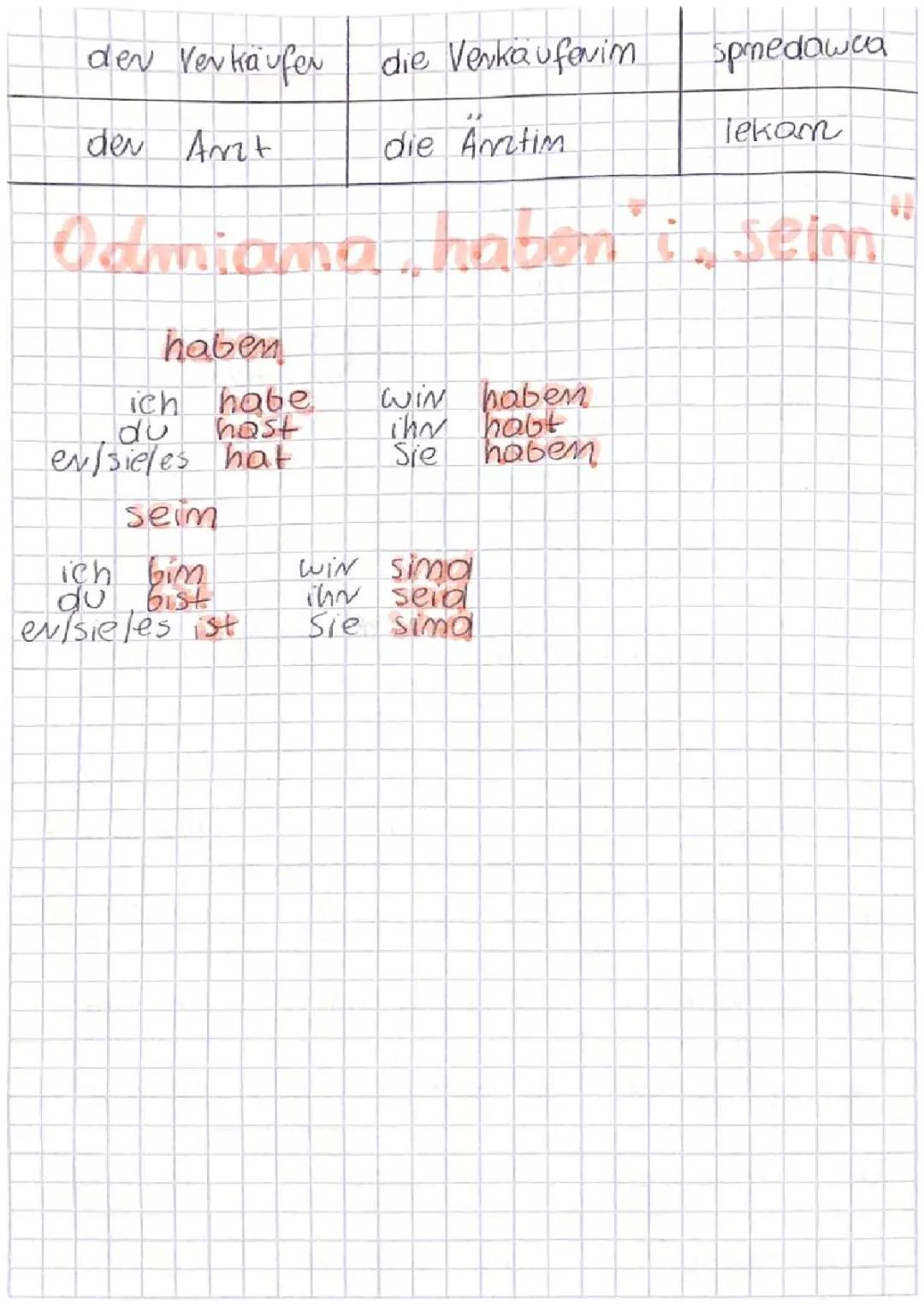 Język Niemiecki: Rodzina, Zawody i Czasowniki 'Haben' & 'Sind'