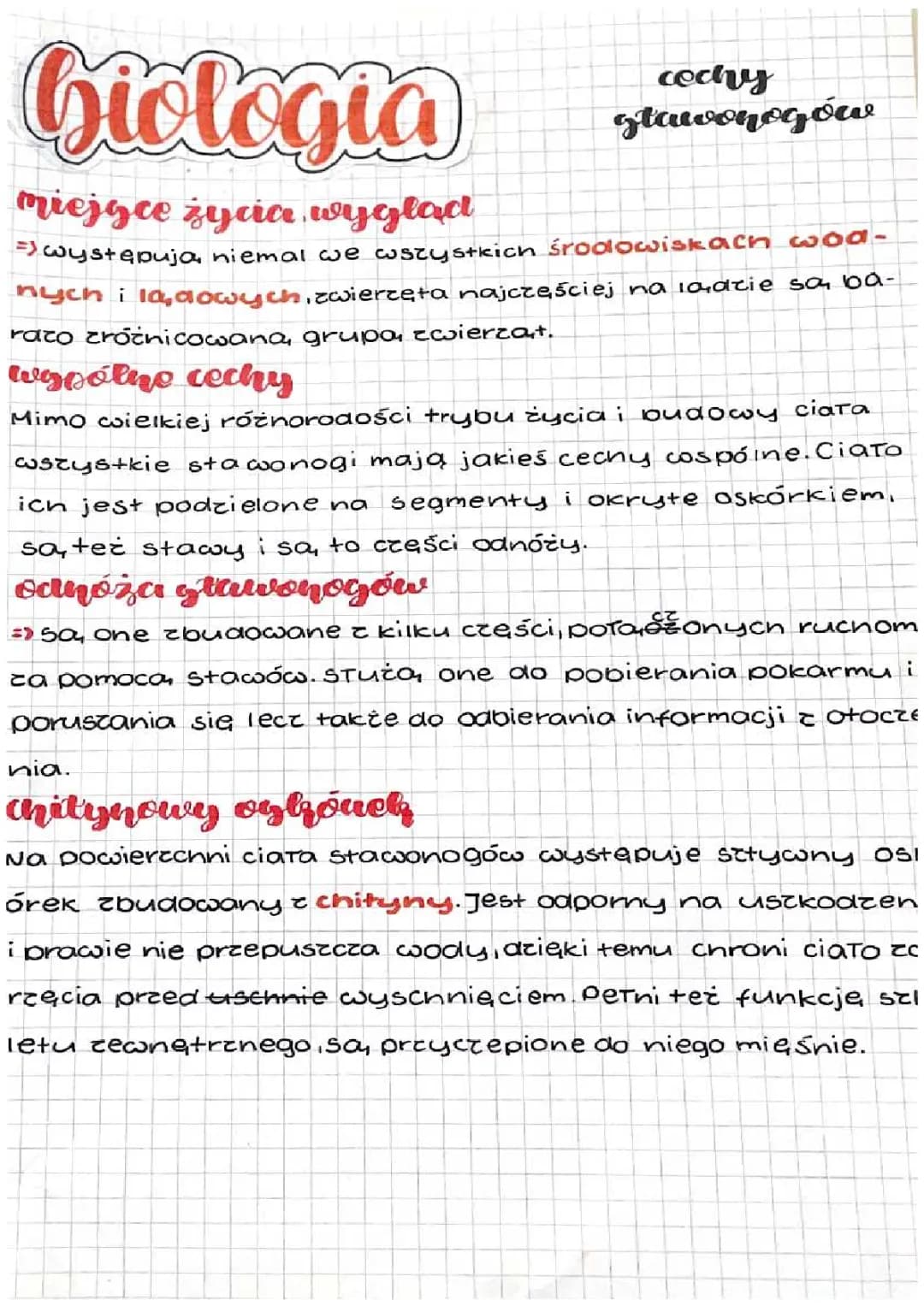 Cechy stawonogów 