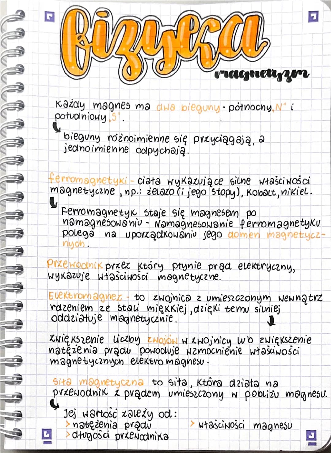 Fizyka: magnetyzm
