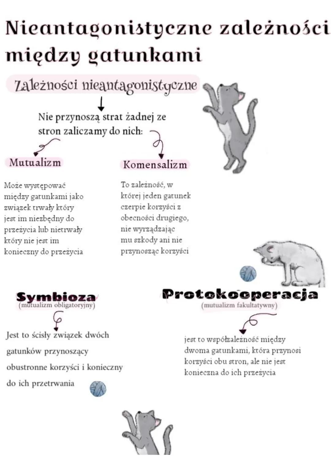 Nieantagonistyczne zależności
między gatunkami
Zależności nieantagonistyczne
Nie przynoszą strat żadnej ze
stron zaliczamy do nich:
Mutualiz