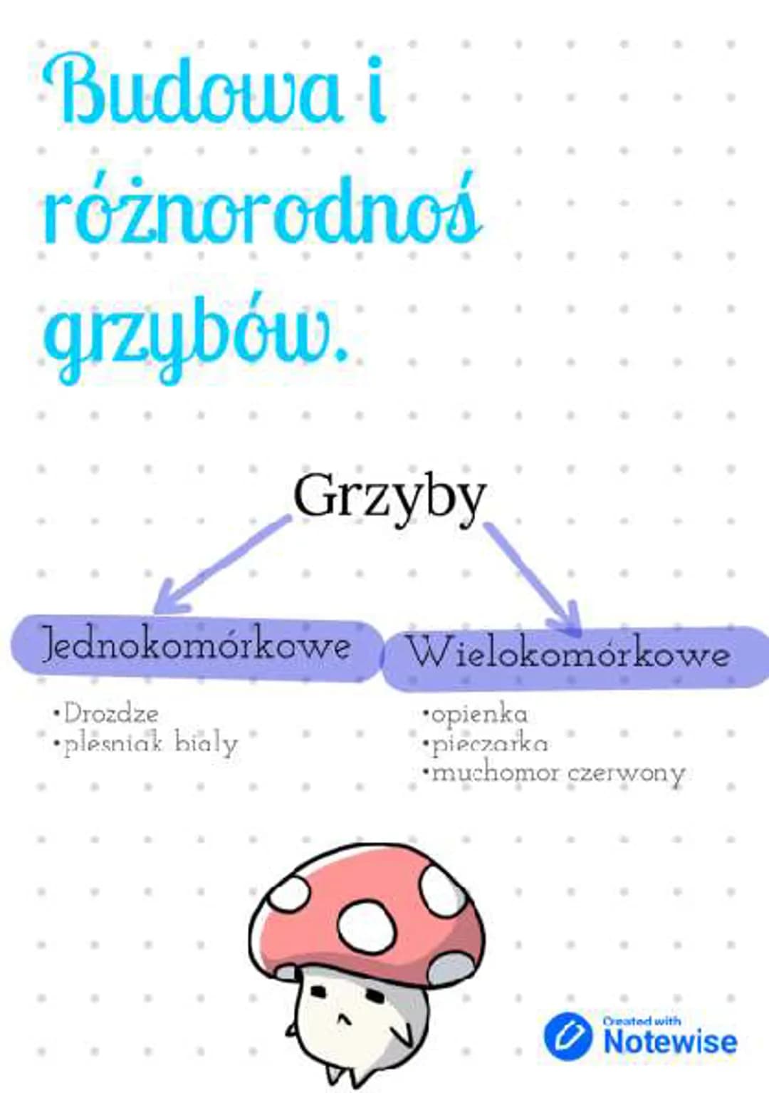 Budowa i różnorodność grzybów 