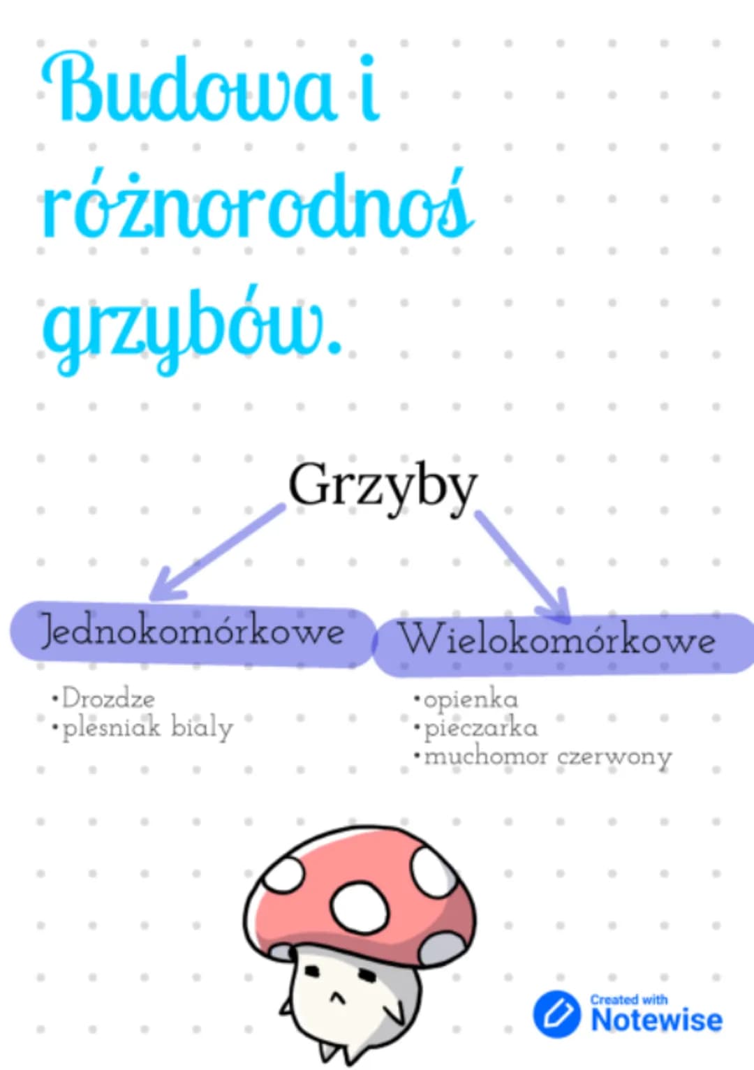Budowa i
różnorodnoś
grzybów.
Grzyby
Jednokomórkowe Wielokomórkowe
•Drozdze
•plesniak bialy
•opienka
•pieczarka
muchomor czerwony
Created wi