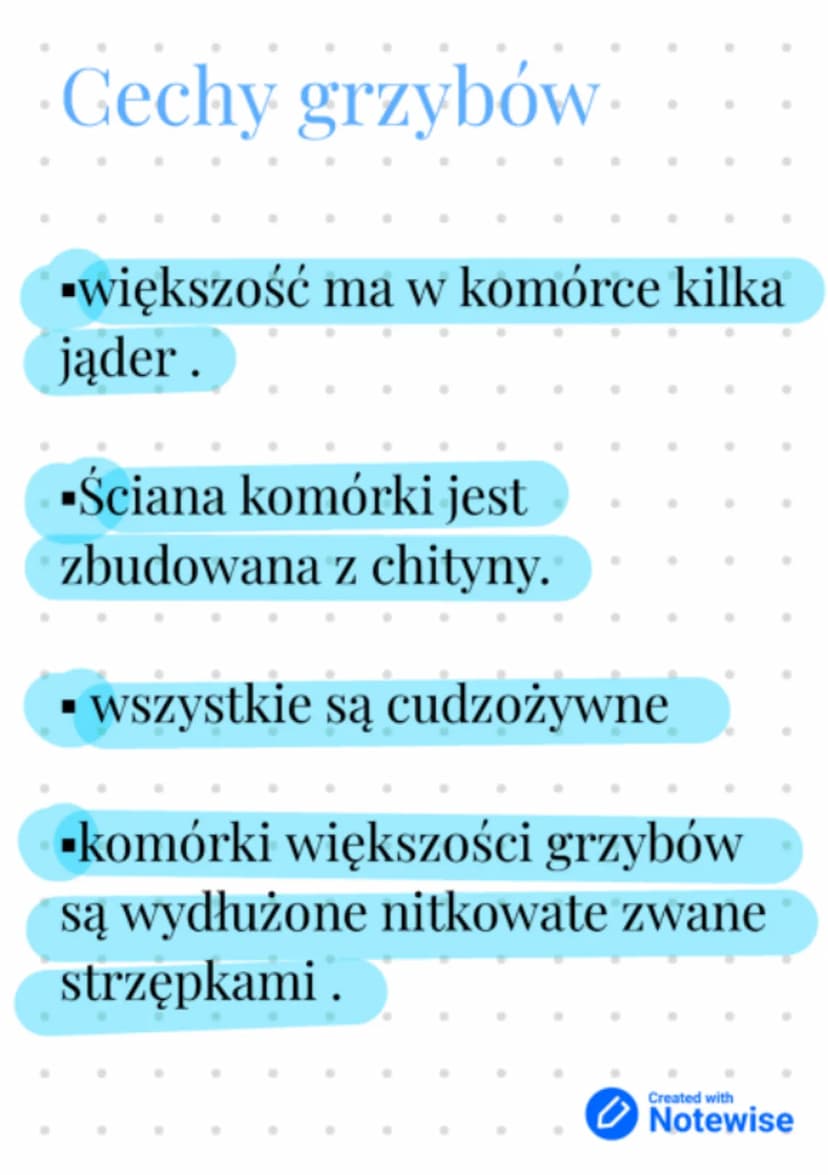 Budowa i
różnorodnoś
grzybów.
Grzyby
Jednokomórkowe Wielokomórkowe
•Drozdze
•plesniak bialy
•opienka
•pieczarka
muchomor czerwony
Created wi
