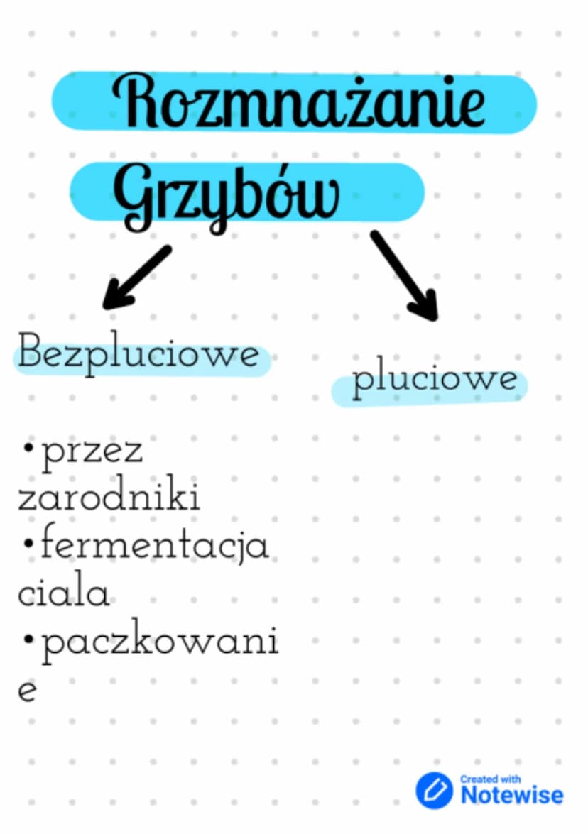 Budowa i
różnorodnoś
grzybów.
Grzyby
Jednokomórkowe Wielokomórkowe
•Drozdze
•plesniak bialy
•opienka
•pieczarka
muchomor czerwony
Created wi