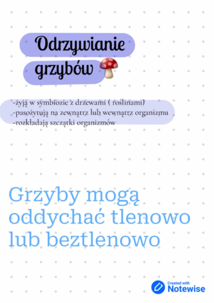 Budowa i
różnorodnoś
grzybów.
Grzyby
Jednokomórkowe Wielokomórkowe
•Drozdze
•plesniak bialy
•opienka
•pieczarka
muchomor czerwony
Created wi