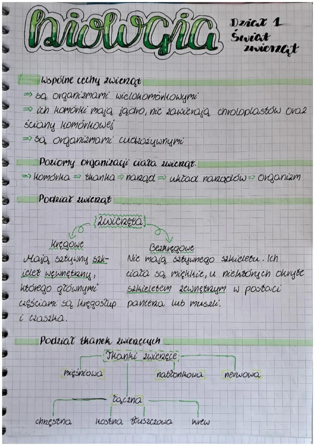 Świat Zwierząt - Klasa 6 Biologia