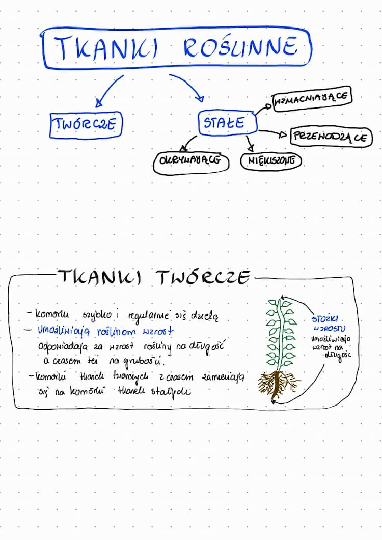Know Tkanki roślinne thumbnail