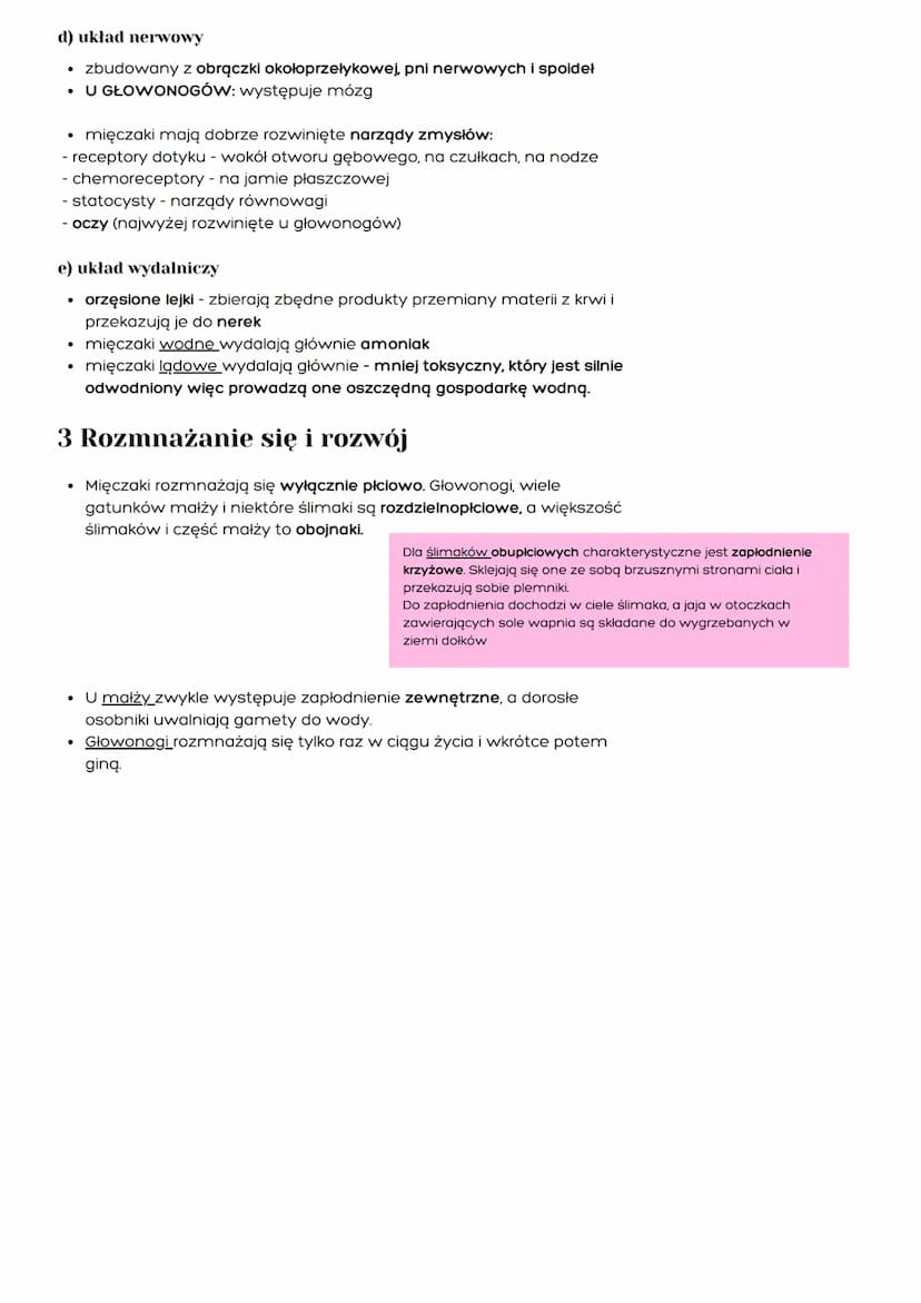 Mięczaki
。 tkankowce
。 trójwarstwowce
。 pierwouste
。 celomatyczne
。 dwuboczna symetria
ciała lub asymetryczne
Typ: Mięczaki
Gromada: ŚLIMAKI