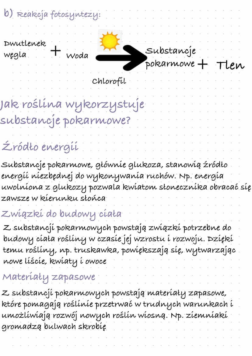 samożywność
Zwróć uwagę na:
-przykłady organizmów samożywny
-przebiegi i znaczenie fotosyntezy
-czynniki wpływające na intensywność fotosynt