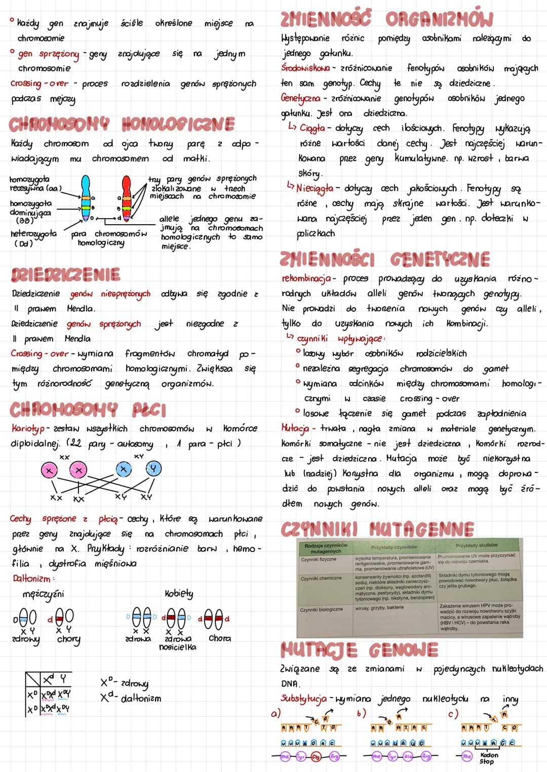 GENOTYPIFENOTYP
Genotyp - Zespół wszystkich genow występujących W
organizmie
Fenotyp- Widocz ne cechy organizmu np. Kształt nosa
GEN I ALEL
