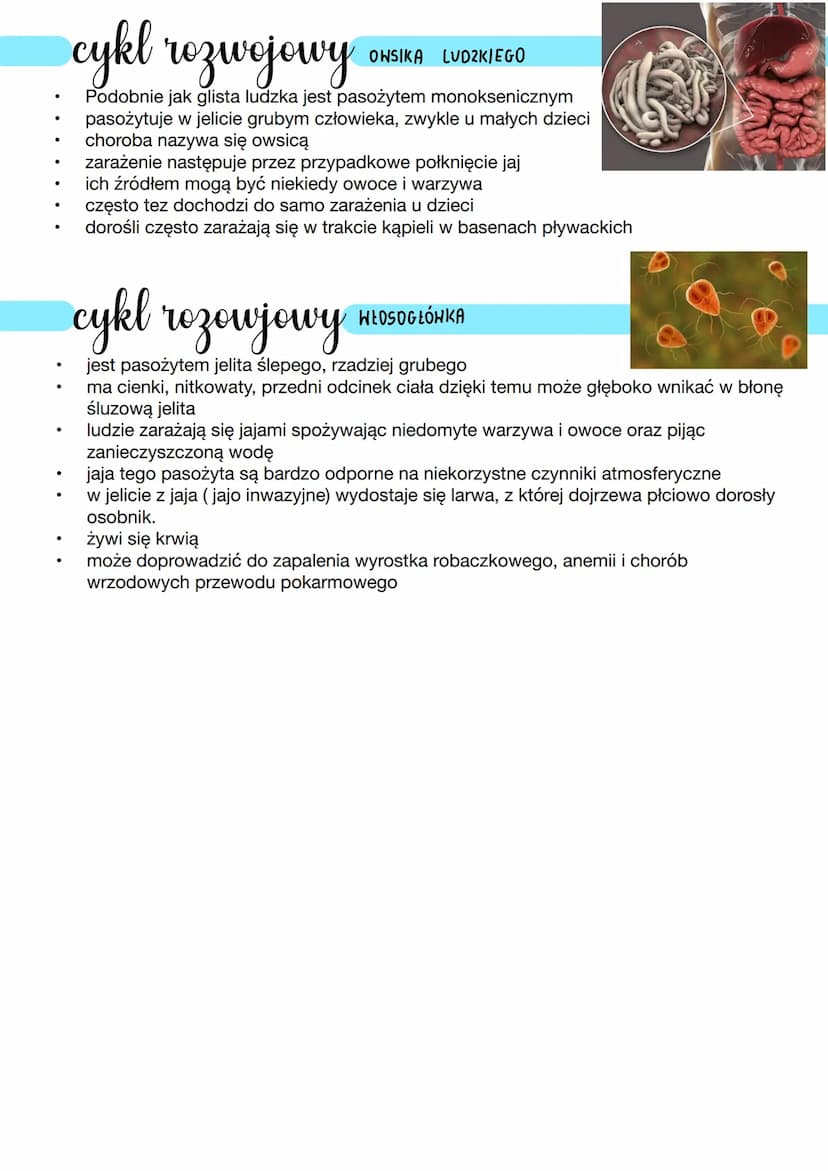 nicienie
Środowisko życia
↳ wodne
4
●
na lądzie
zwierzęta o obłym nieczłonowanym ciele
budowa
ciało obie- w przekroju popnecanym podobne do 