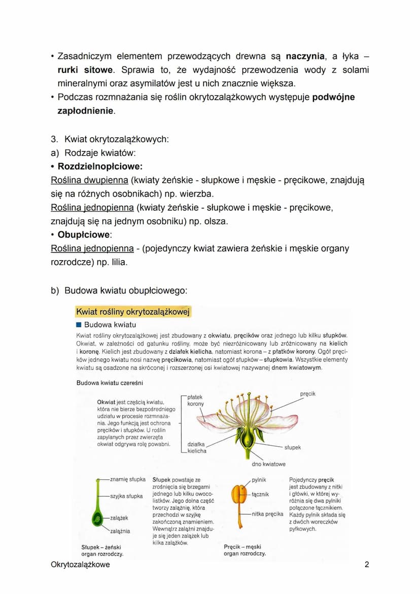 Temat: Rośliny okrytozalążkowe.
1. Formy roślin okrytozalążkowych:
• Występują powszechnie w środowisku lądowym, a wtórnie zasiedlają także
